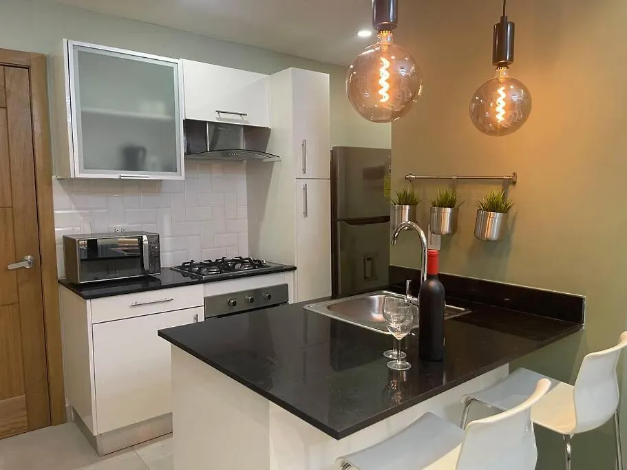 Διαμέρισμα Apartmento En El Corazon De La Ciudad Con Piscina Infinita Y Vista Al Mar Σάντο Ντομίγκο Δομινικανή Δημοκρατία